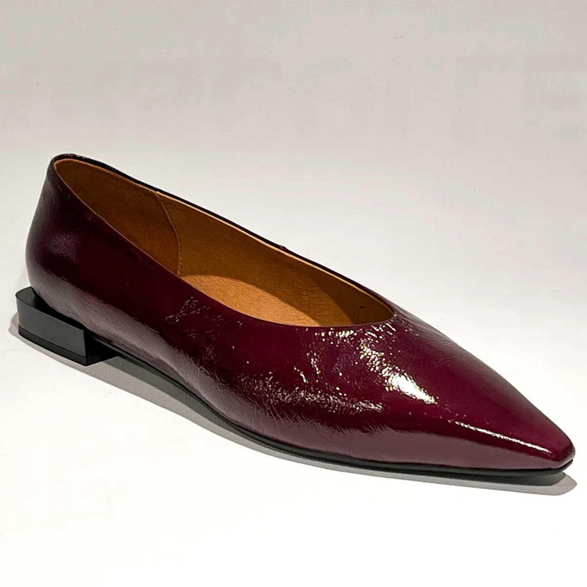 26504 Venice eggplant 1 Angel Alarcon 26504 Venice eggplant
