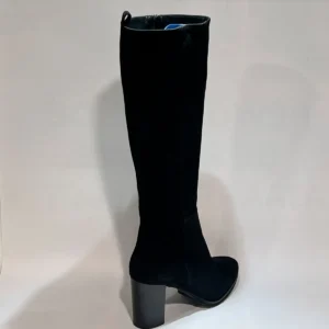 CERVONE 2434
