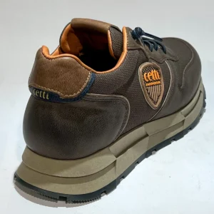 Cetti Cetti C1353