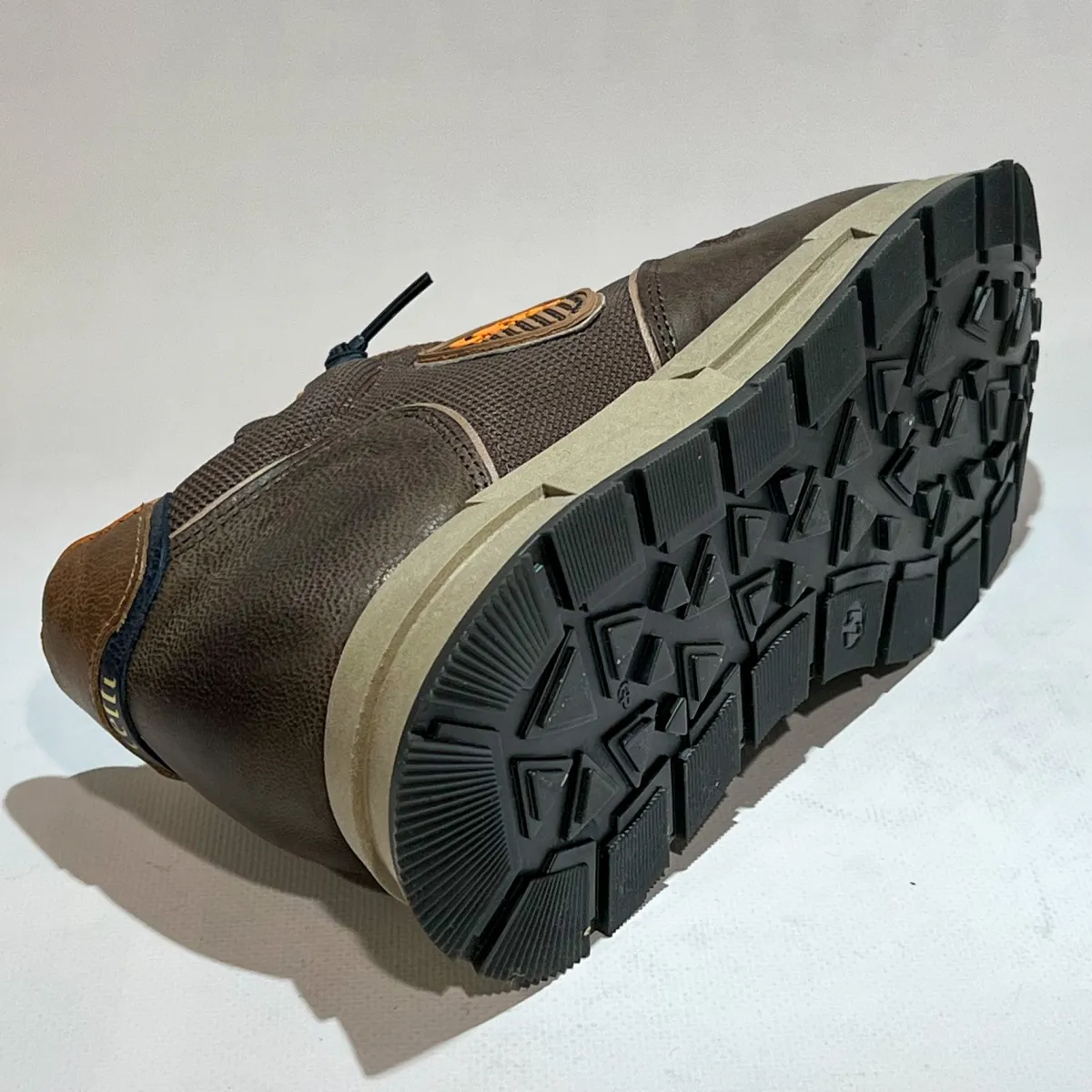 C1353 3 Cetti Cetti C1353