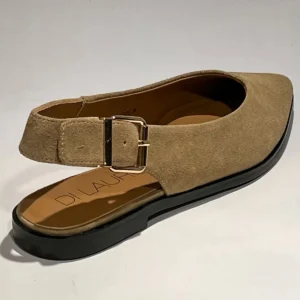Di Lauro Di Lauro Deva 2615475