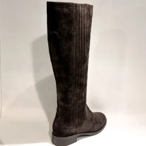 Di Lauro Elsa 2645284