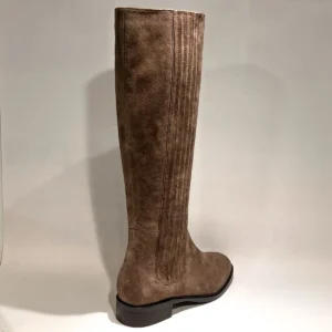 Di Lauro Elsa 2645285