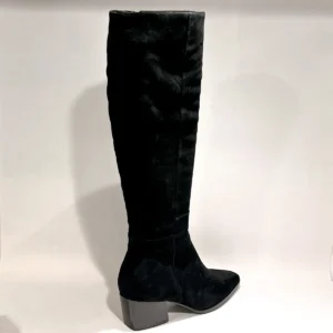 Di Lauro Denira 2645308