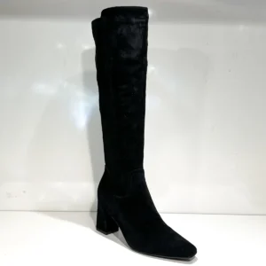 Di Lauro Delia 2645314