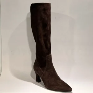 Di Lauro Benvenuta 2645360