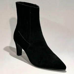 Di Lauro Calandra 2645365