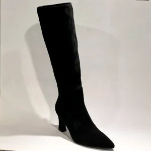 Di Lauro Benvenuta 2645371