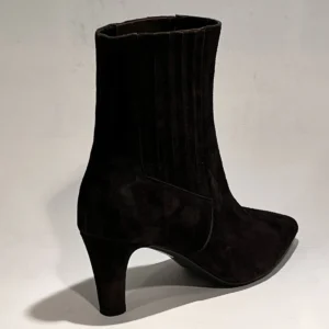 Di Lauro Calandra 2645373