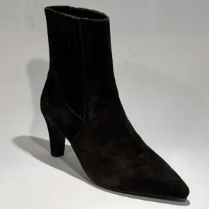 Di Lauro Calandra 2645373