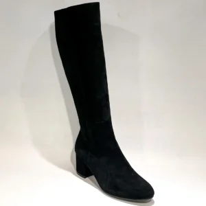Di Lauro Brenda 2647425