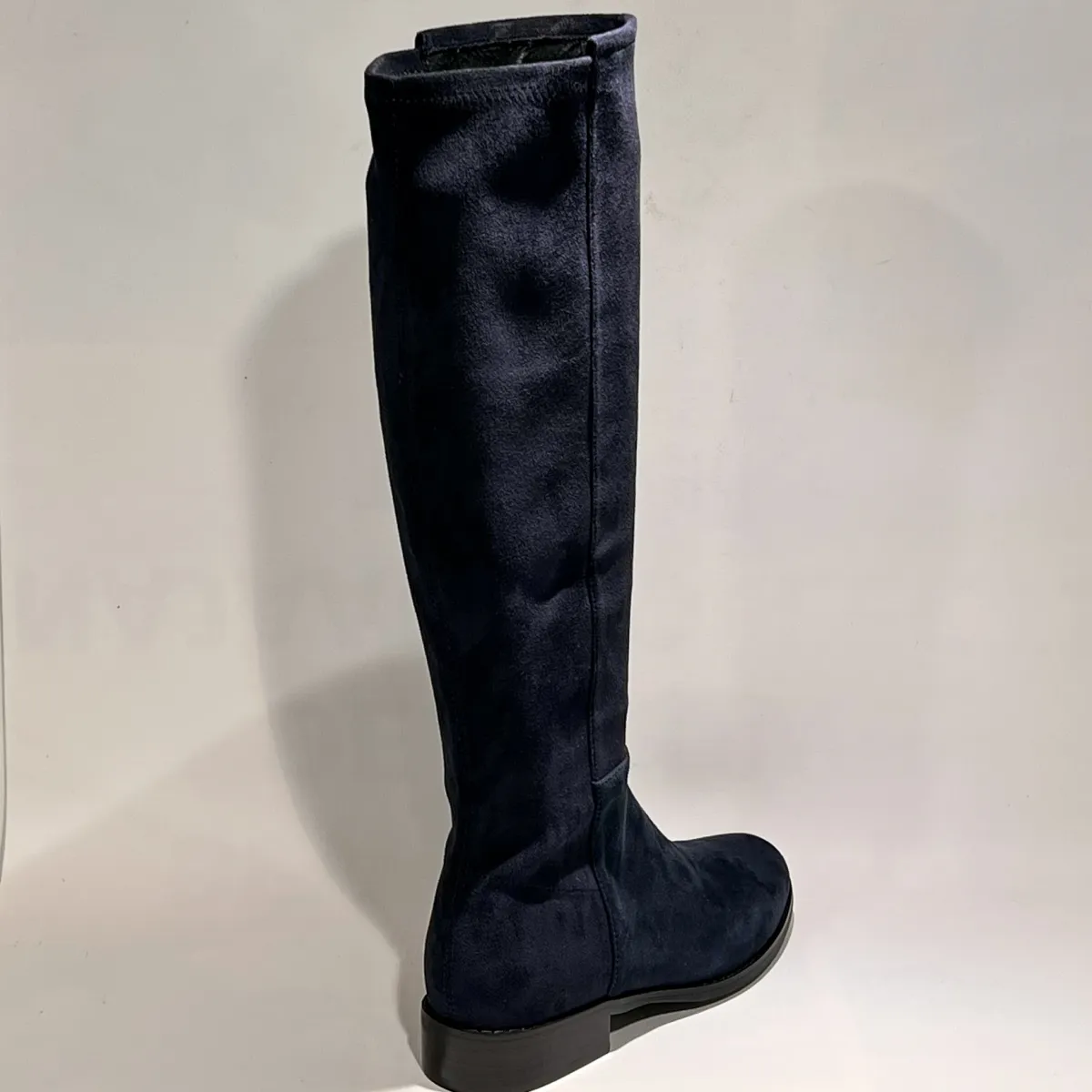 Janine 2647428 2 Di Lauro Janine 2647428