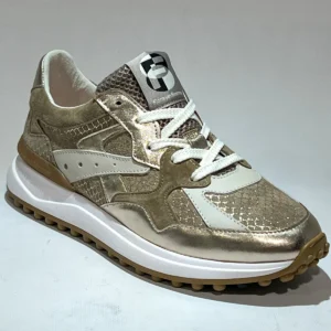 Floris van Bommel Floris van Bommel SFW-10153-91-01 Noppi 46.01 gold