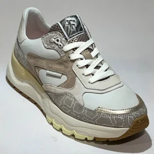 Floris van Bommel Floris van Bommel SFW-10164-34-01 Treni 02.00 Taupe