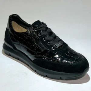 HASSIA 301355 -0100