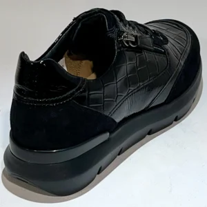 HASSIA 301355 -0100
