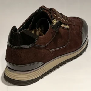 HASSIA 302032 -2100