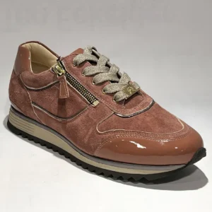 HASSIA 302032 -4600