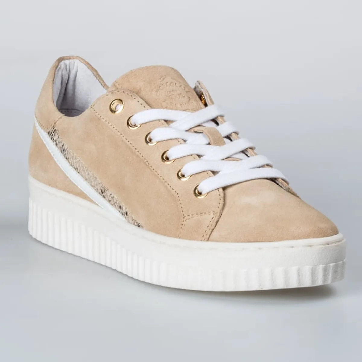 8.10.02.029.01 1 Shoecolate 8.10.02.029.01