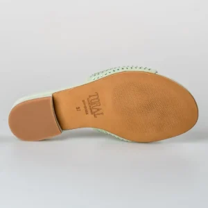 TORAL TORAL CIRA ANTE CUCUMBER