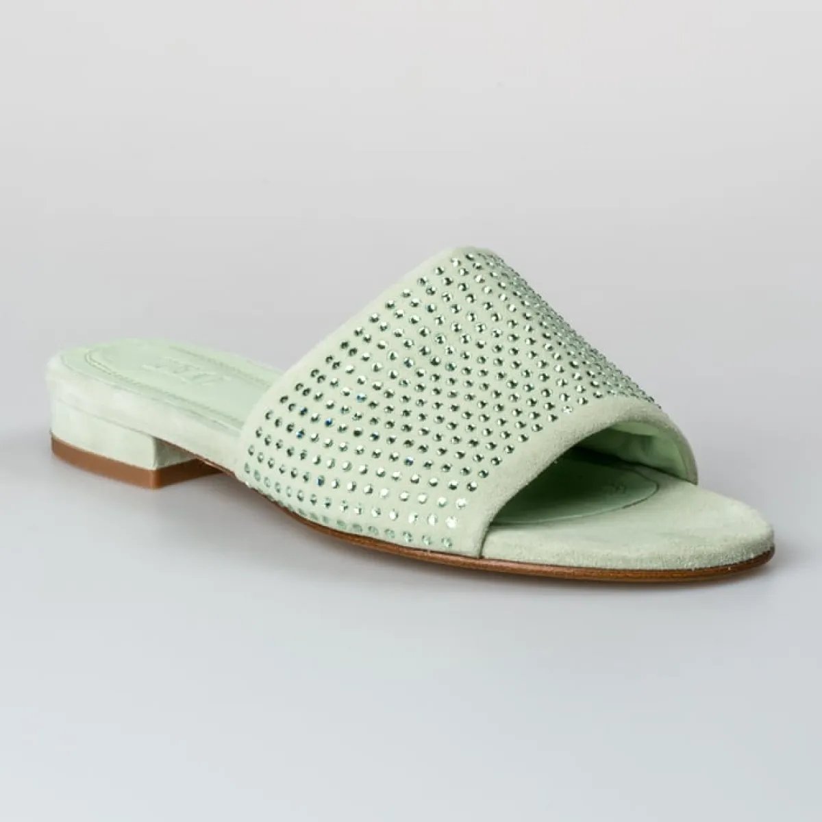 CIRA ANTE CUCUMBER 1 TORAL TORAL CIRA ANTE CUCUMBER