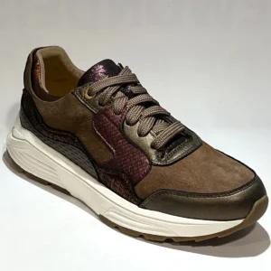 Xsensible Xsensible 33000.2 Golden gate Bronze combi