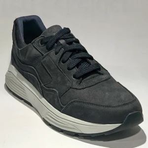 Xsensible Xsensible 33200.4 Golden gate men