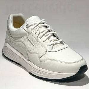 Xsensible Xsensible 33200.5 Golden gate men